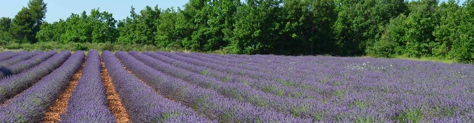 Ma Petite Maison – Urlaub in Frankreich